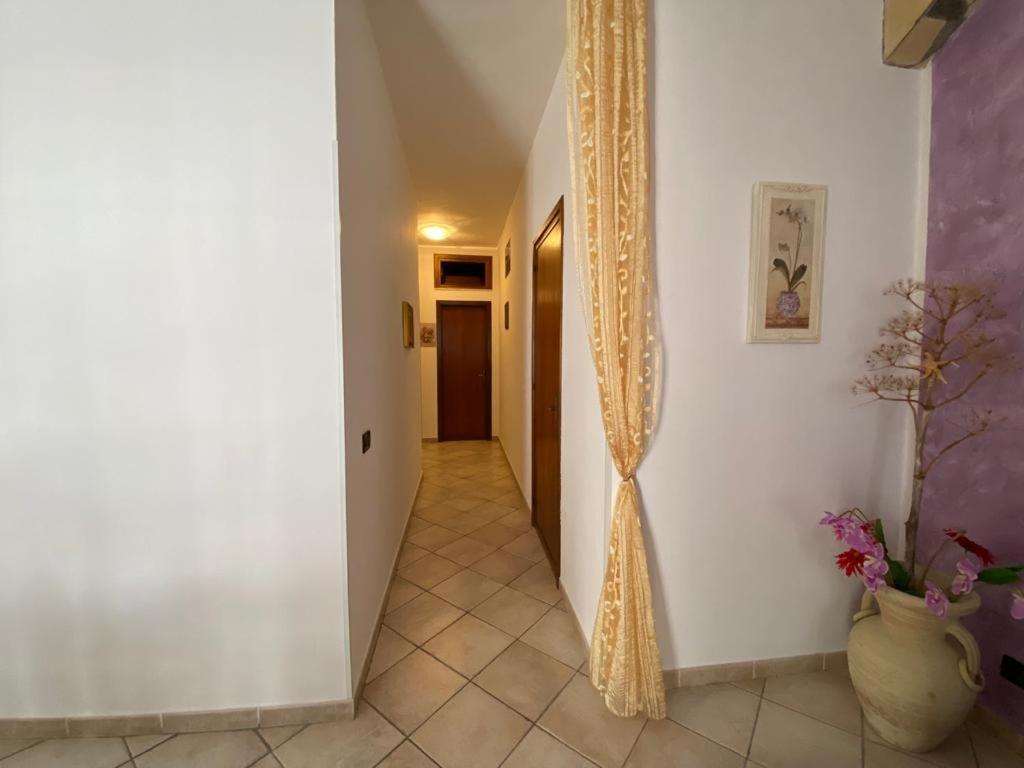 Appartamento Grande San Vito Lo Capo Eksteriør billede